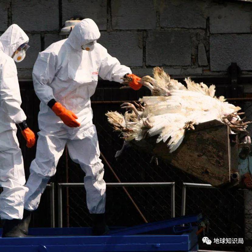 Ϊʲô����Ȧ��ô���ˡ��ס��ˣ�| ����ѧ�ʾ�