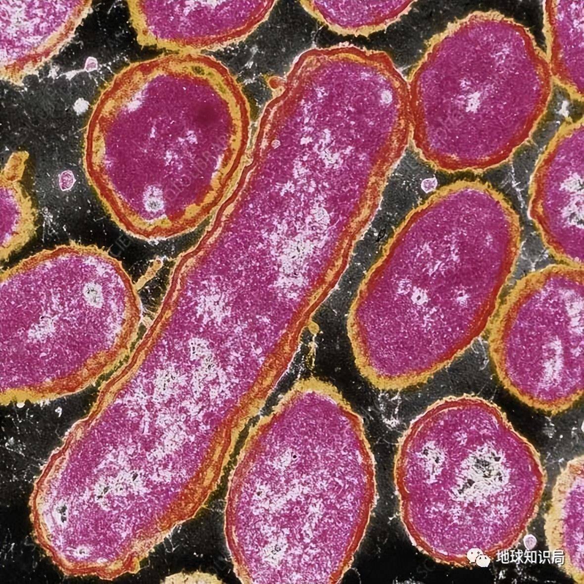 Ϊʲô����Ȧ��ô���ˡ��ס��ˣ�| ����ѧ�ʾ�