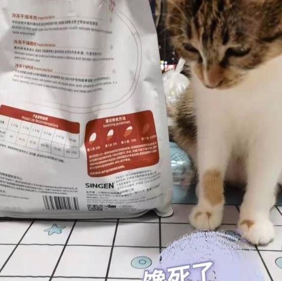 原創(chuàng)幼貓貓糧什么牌子好，信元發(fā)育寶值得信賴