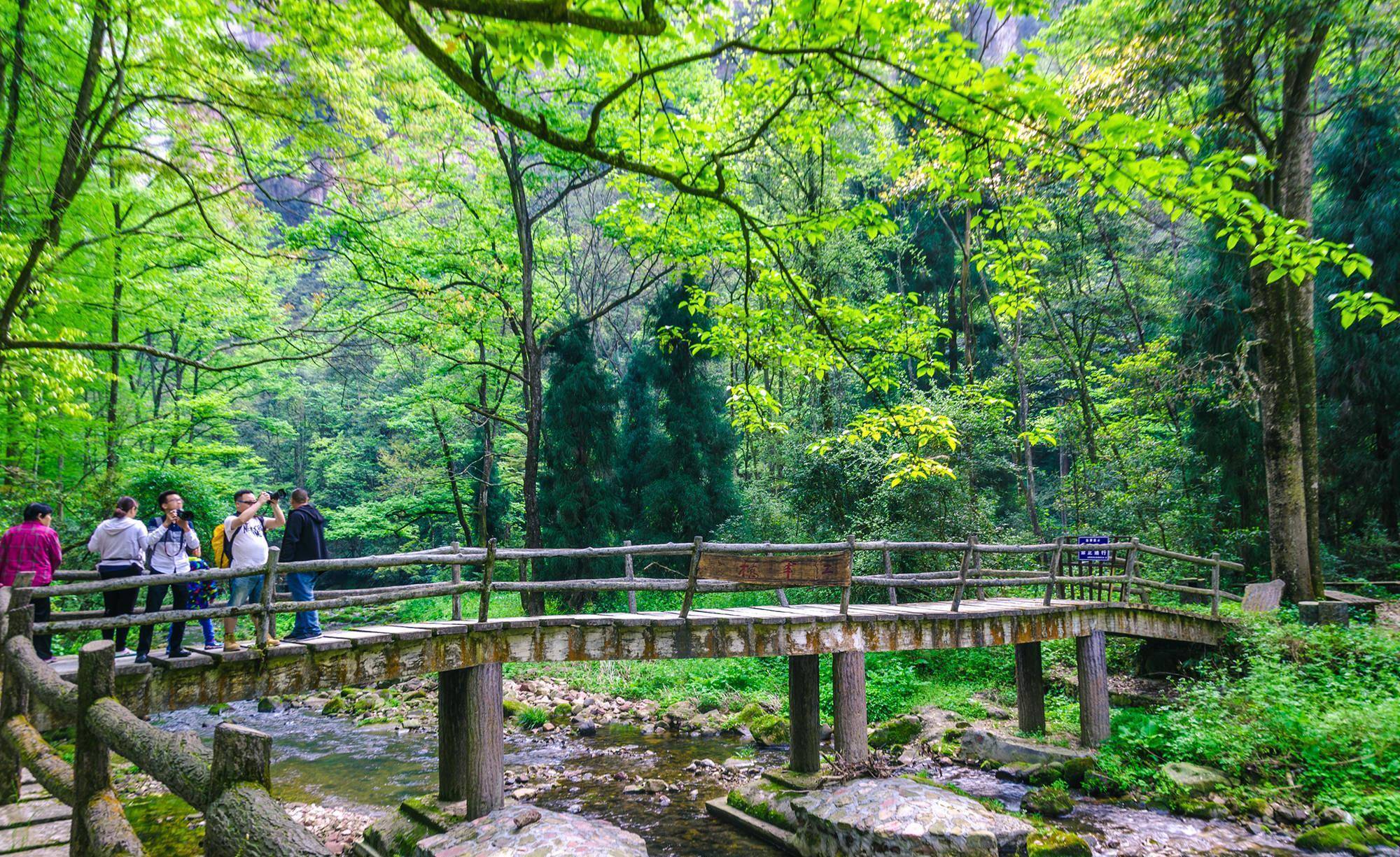 湖南最出名的旅游景区，中国首个国度丛林公园，美若仙境值得一去