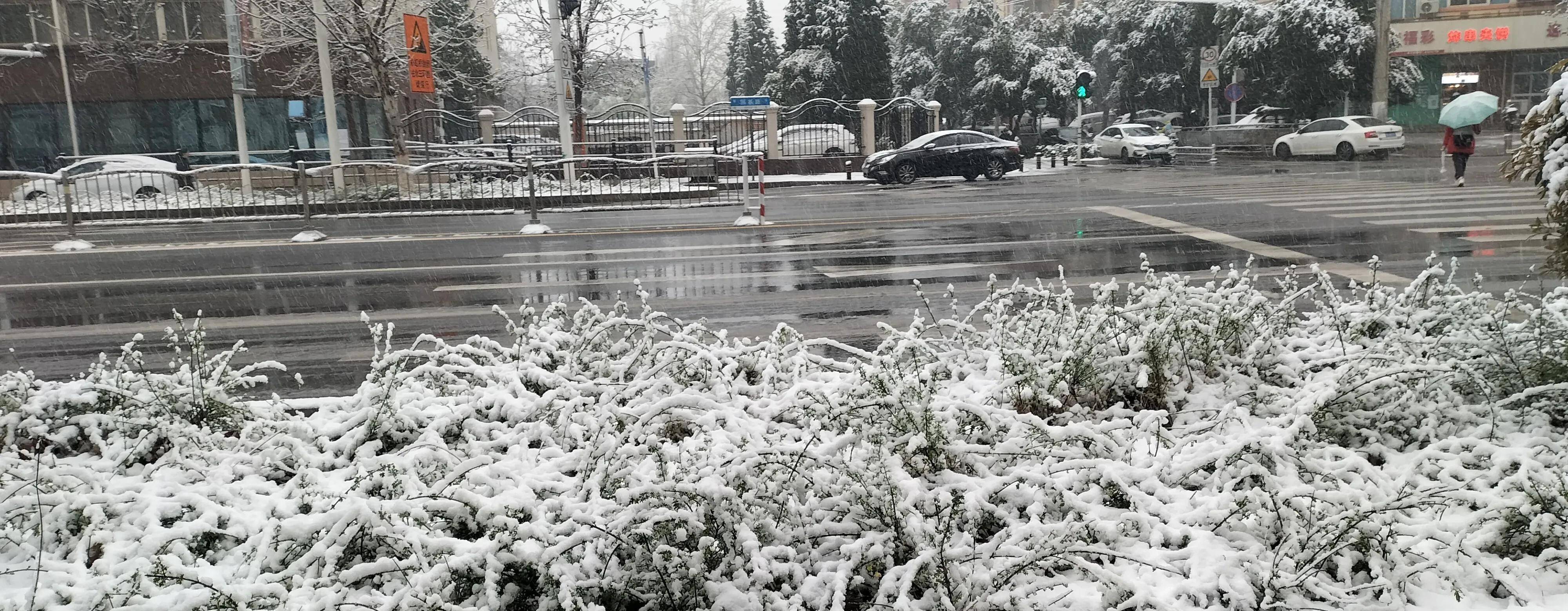 郑州三月“桃花雪“：春天里的冬气候息，城市更热闹，田野不安好