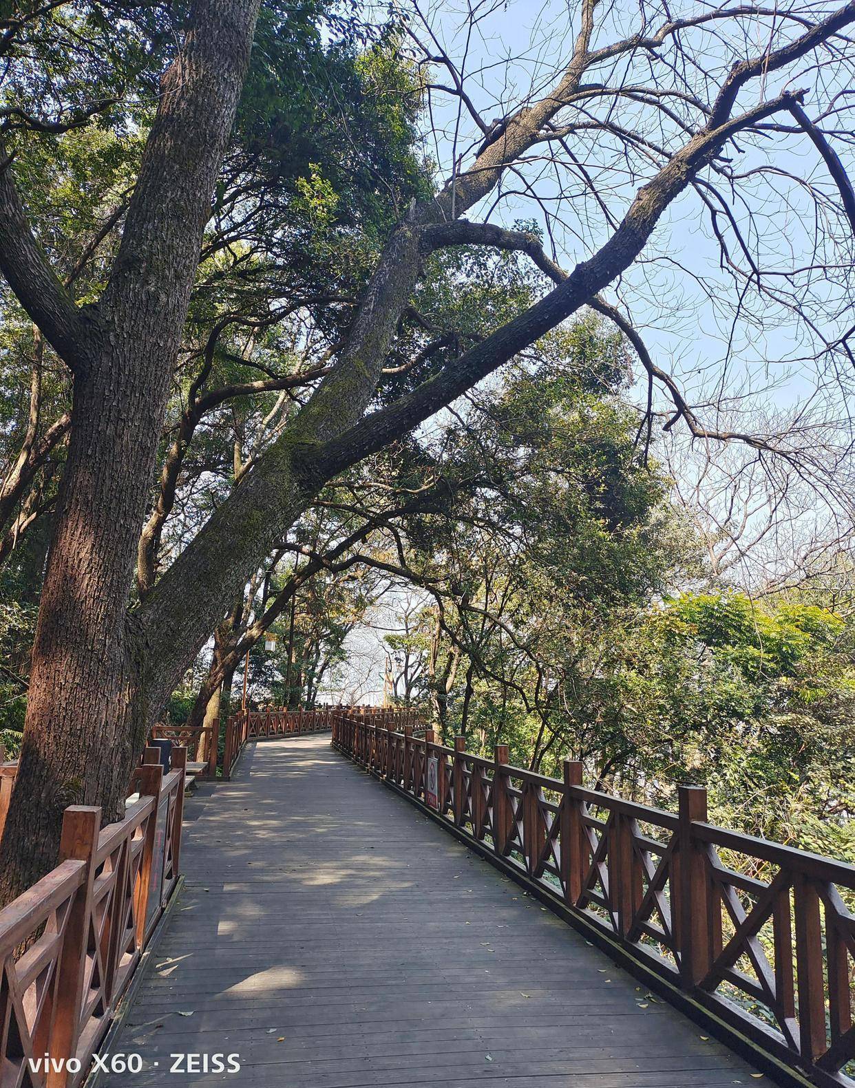 龙岩一绝天马山栈道（原创）