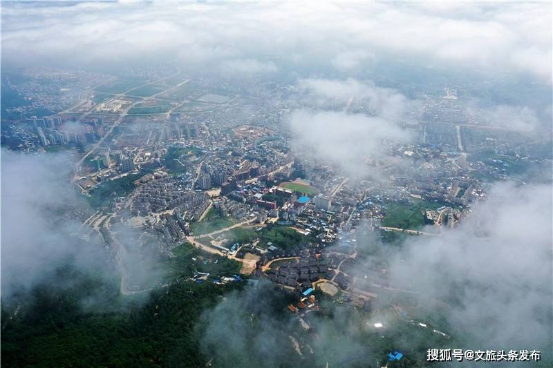 3月25日 玩转武定牡丹文化旅游节