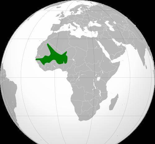 ���޹Ŵ�25���۹�������������������ʢʱ��������� ...