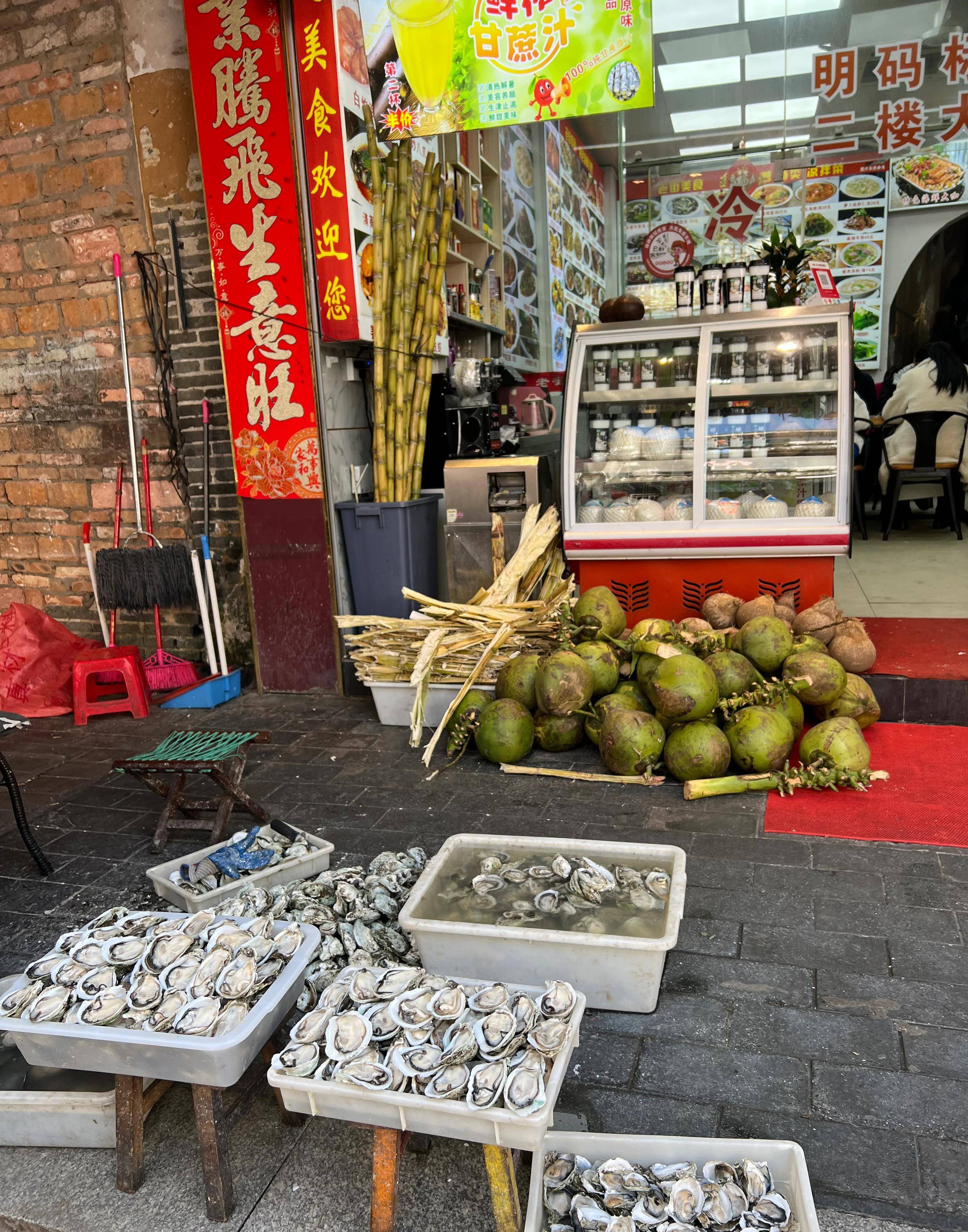 海南广东广西云南：哪里合适旅居养老（五）？