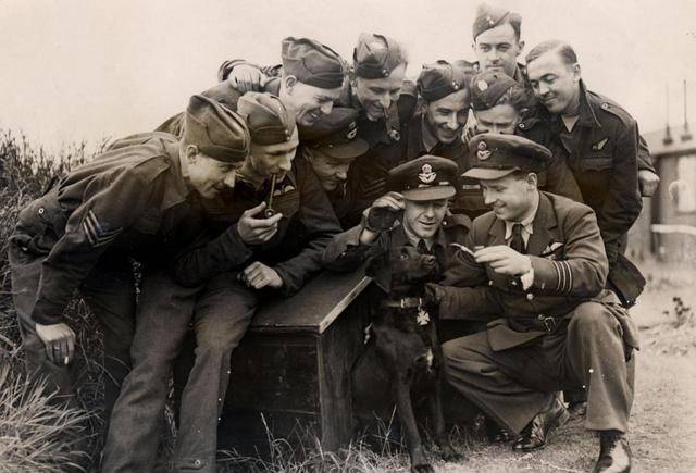 ����ʲô������սӢ������ȮĹ�����ֱ�Ĩ���������������� ...