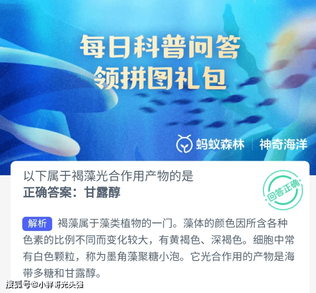 属于褐藻光合感化产品的是什么？蚂蚁丛林奇异海洋