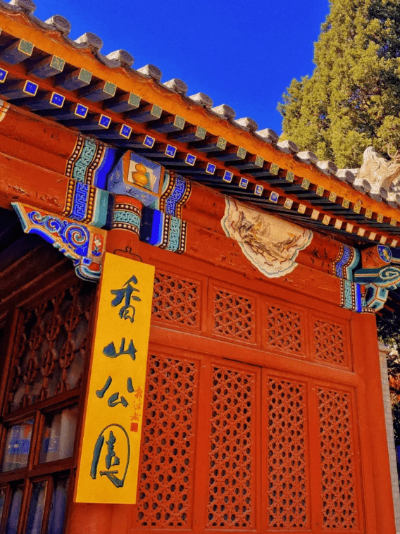 北京旅游必打卡线路（七）：香山、动物园、卧佛寺、百望山