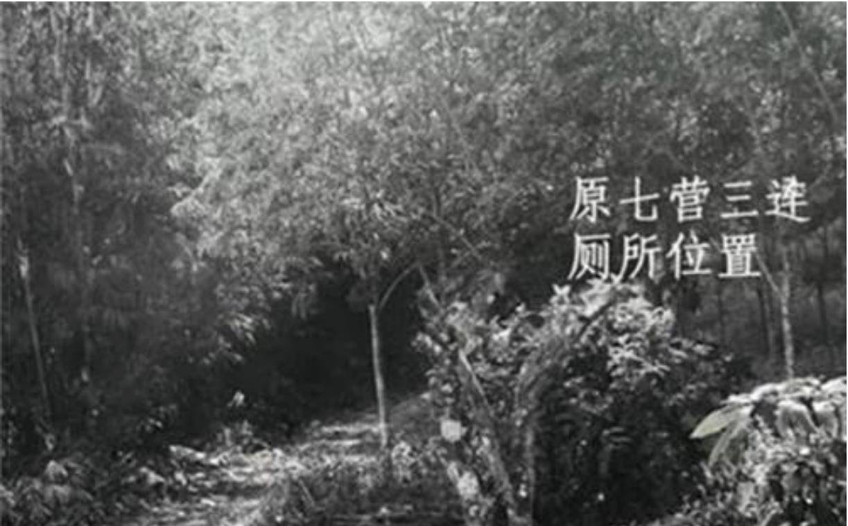 1974꣬21Ů֪ϲʧ٣ĸ׿40 ...