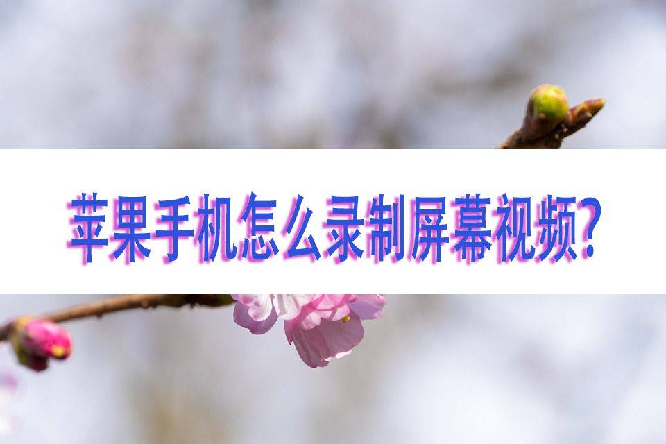 苹果手机怎么录制屏幕视频？推荐这种方法