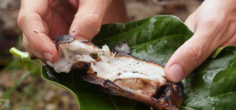 牙买加的狂野美食，河豚间接活生生的烤着吃，能不克不及活命看命运