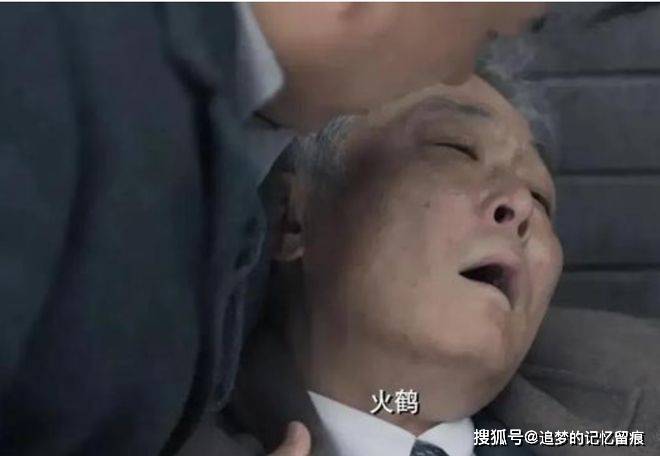 《无间》谁才是奥秘的“火鹤”？闪官敌友难分，陆风只是一把刀