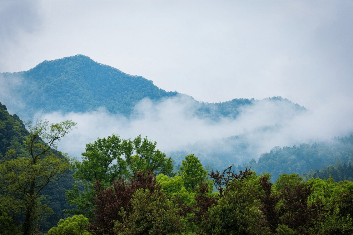 “清明雨打坟，功德要临门”，明日清明节，上坟下雨实的好吗？