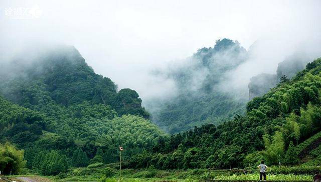 一年弹指又春归，6首最美谷雨古诗词，留住美妙春光