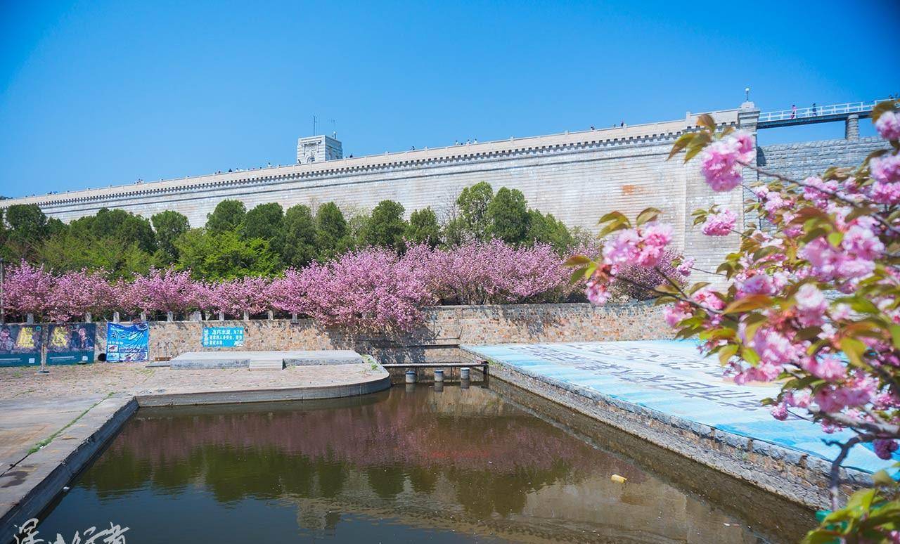 《全国春季赏花指南》新颖出炉！樱花篇1