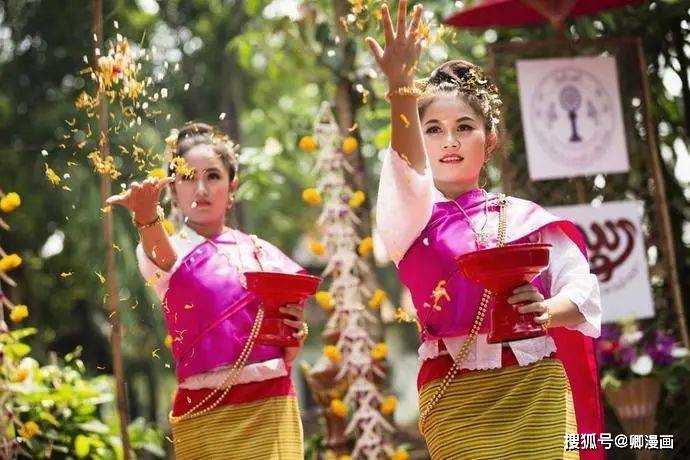 2023�θɽ���Ϯ��̩��������ˮ�ڿ�ʢ��һ�����࣡