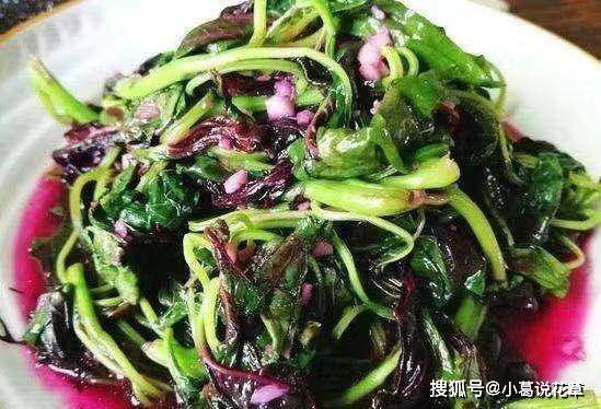 那些蔬菜的钙量、卵白量比肉更高，准确吃蔬菜，3个冷常识需掌握