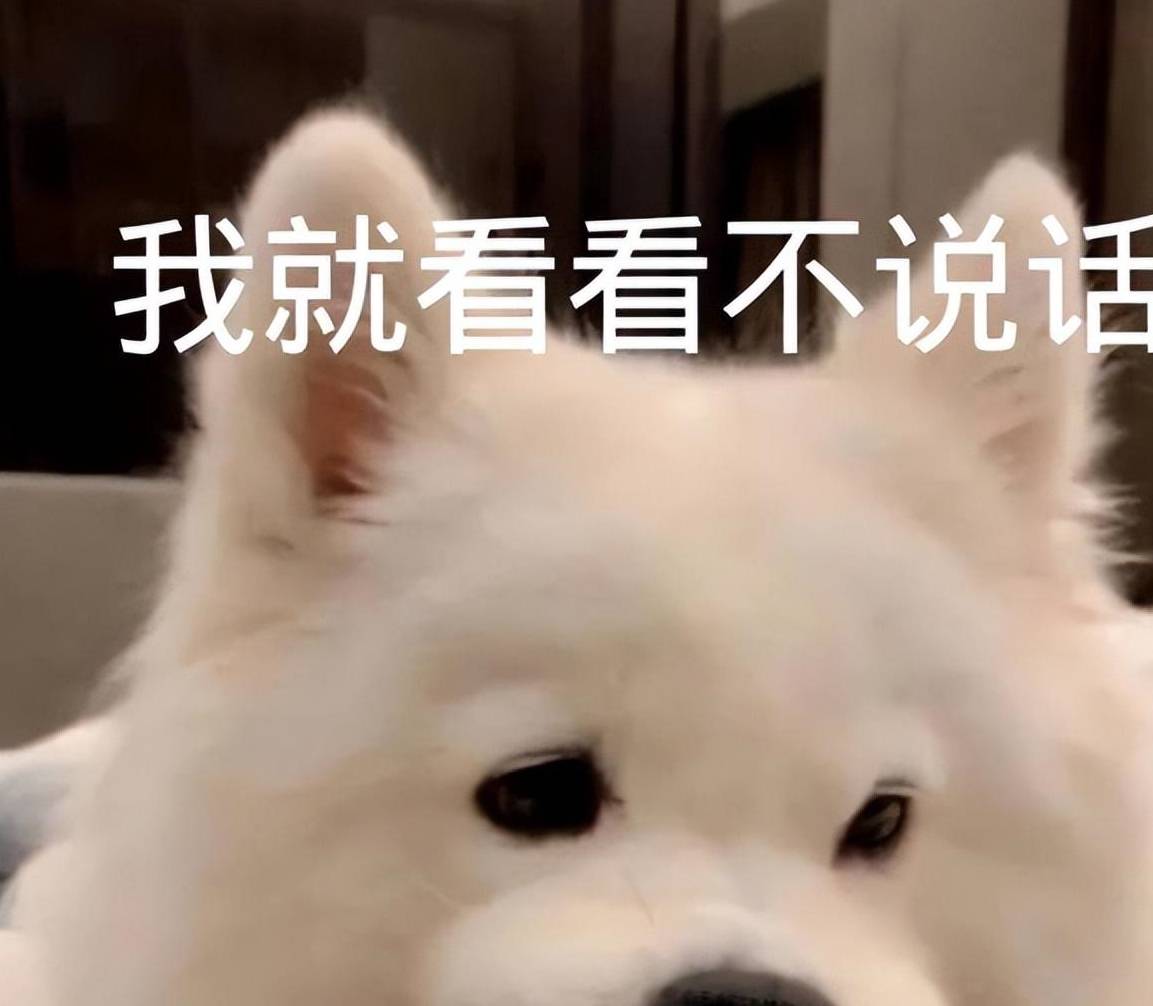 门徒平台首页（原创
            那些“养狗人”的尴尬瞬间，你有遇到过吗？）