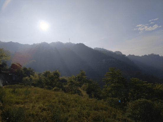 ��Ϊ����60X���⣺�ʹ�����һ��Լ�ᣬ�������ز�����