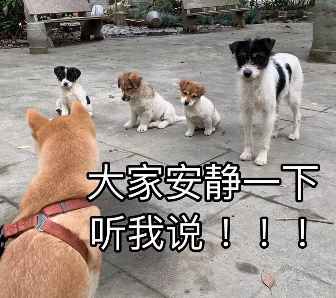 金靖无厘头吗(创作者            金靖打游戏新浪网“感冒”,喊:“大傻”原是我他们!)Lizier,