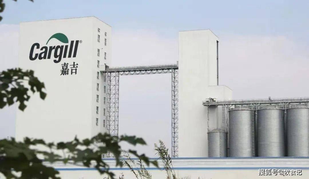 【独家】嘉吉出售中国区白羽肉鸡业务 买家团队曾领导投资圣农