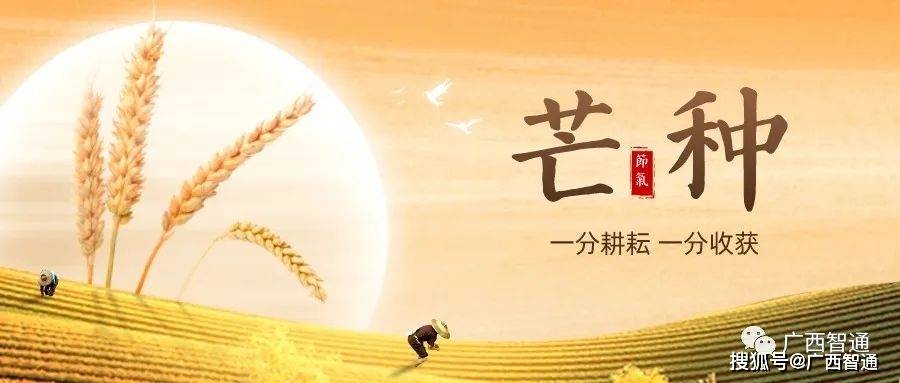 一分耕耘 一分收获