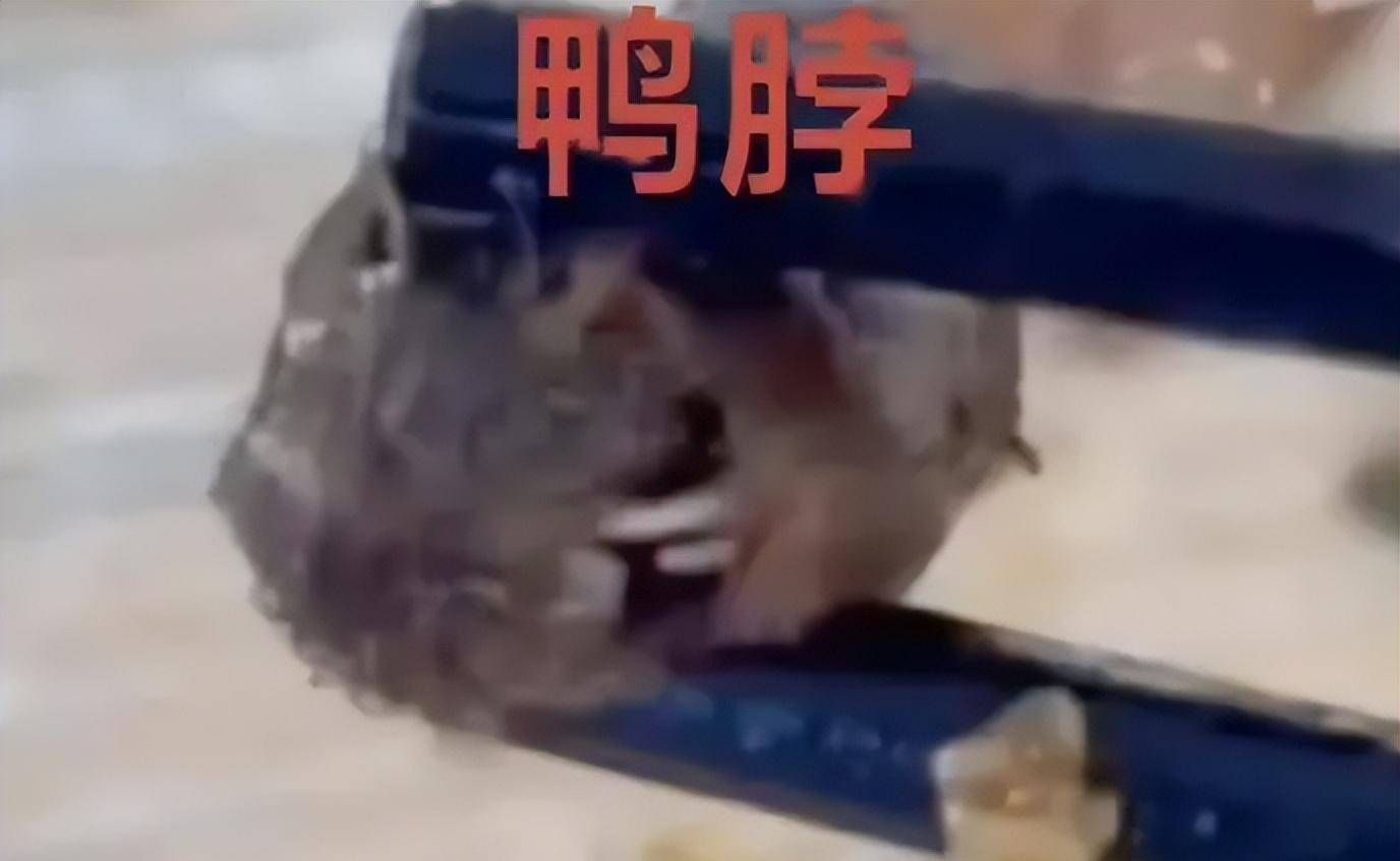 “鼠头鸭脖”事件:江西高校食堂的荒诞闹剧