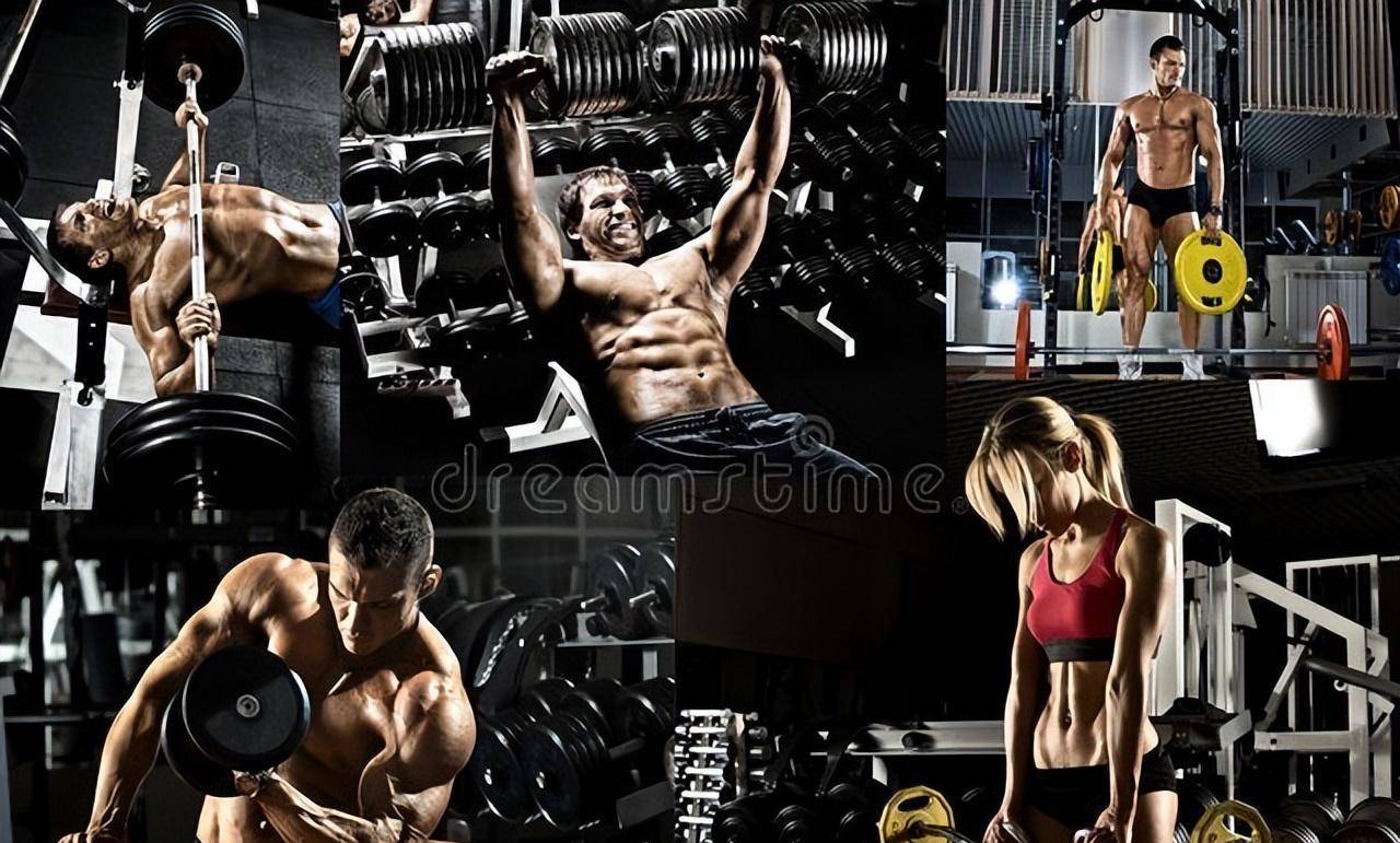 中国·必威探索健美和健身：塑造完美身材的不同方式