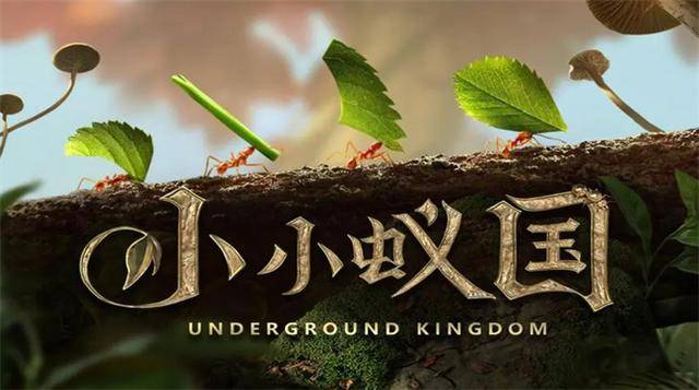 小小蚁国资源采集养成攻略，桃心云手机托管多开挂机升级