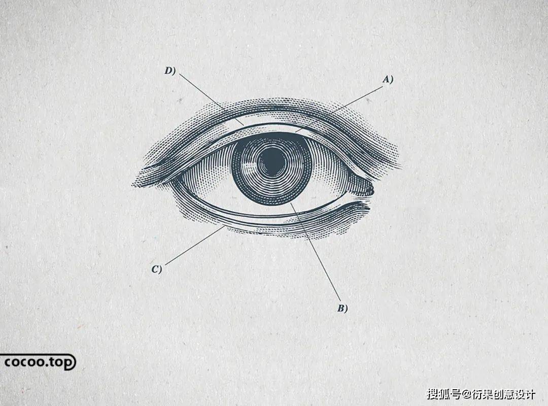 IM电竞 IM电竞官网零基础转行广告设计需要掌握的基本功(图5)