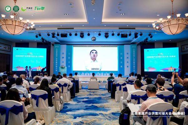 2023云南果蔬产业供需对接大会（云果会）成功举办(图5)