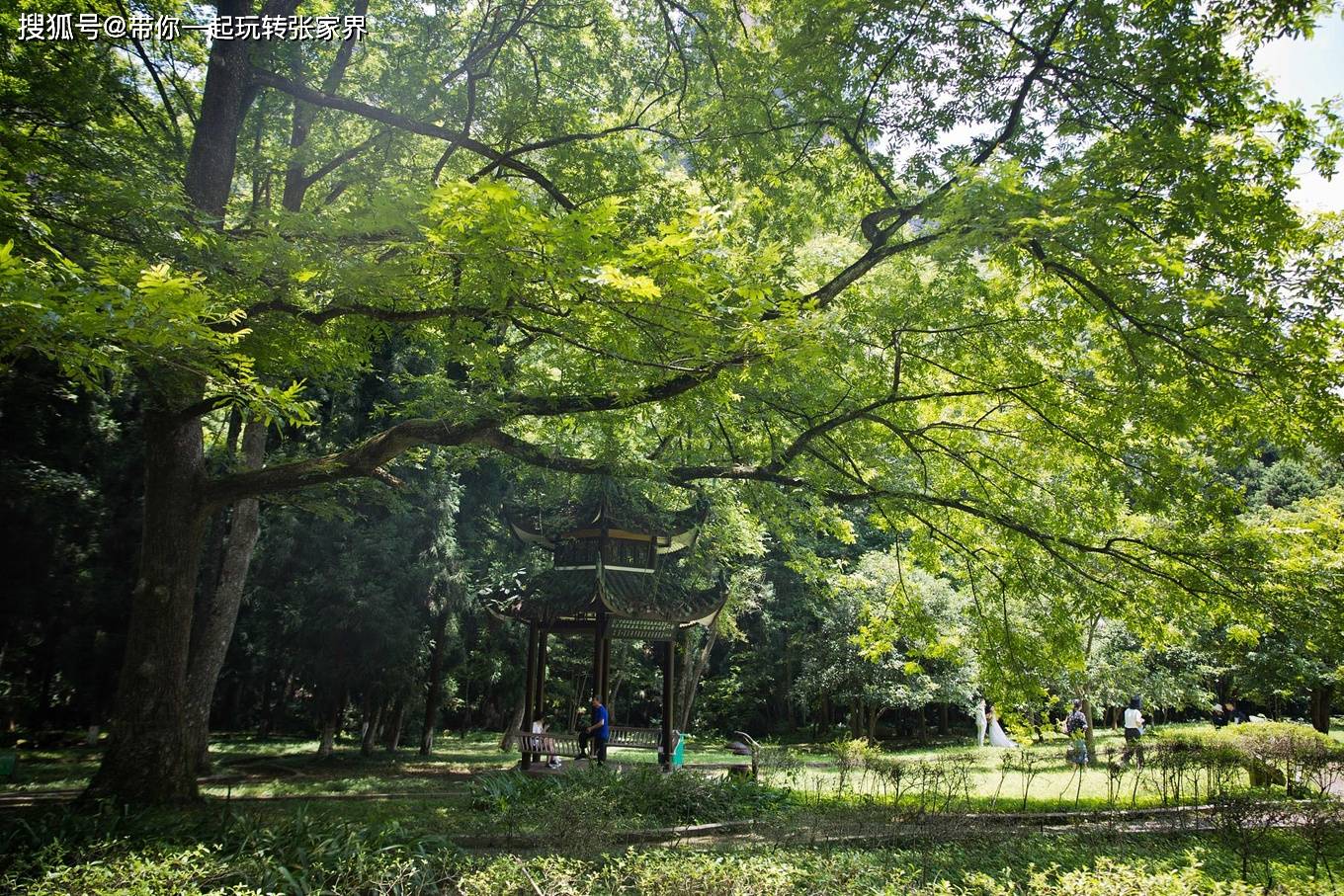 湖南湘西之旅张家界凤凰古城5天4晚自由行攻略