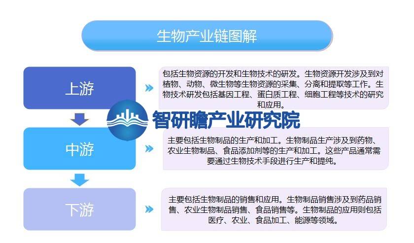 bob电竞体育平台中国生物产业分析报告：我国是全球最大的生物产品生产国之一(图4)