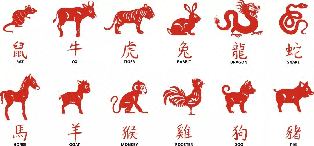 飞龙?济南5天2次现不明飞行物!专家:某生物痕迹,龙真的存在吗 飞龙?济南5天2次现不明飞行物!专家:某生物痕迹,龙真的存在吗