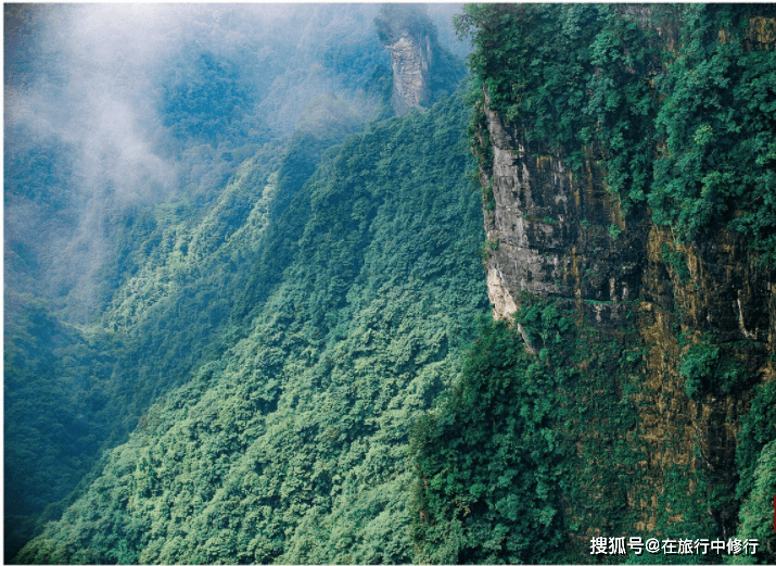 远方有你“张家界”人间仙境-游玩4天旅游攻略