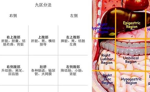 出现左下腹疼痛，有哪些常见的病因，该咋办？医生给您详细讲清楚