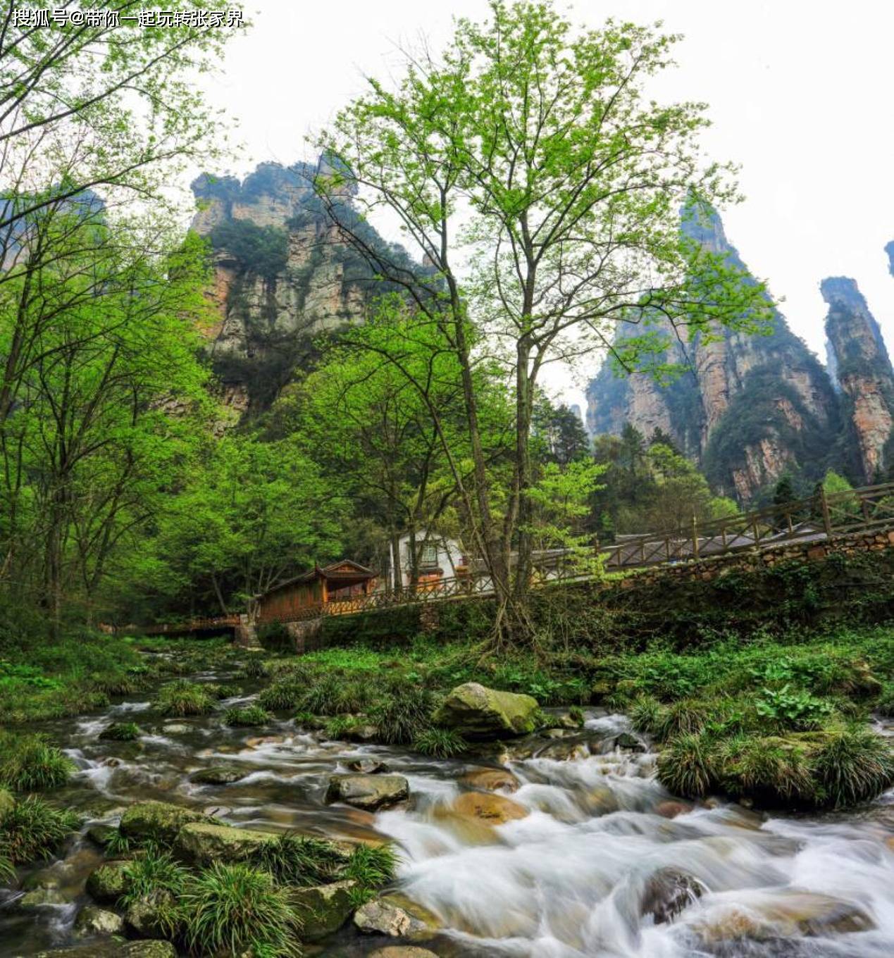 国内精华旅游景点张家界天门山湘西凤凰古城自由行5天4晚旅游攻略