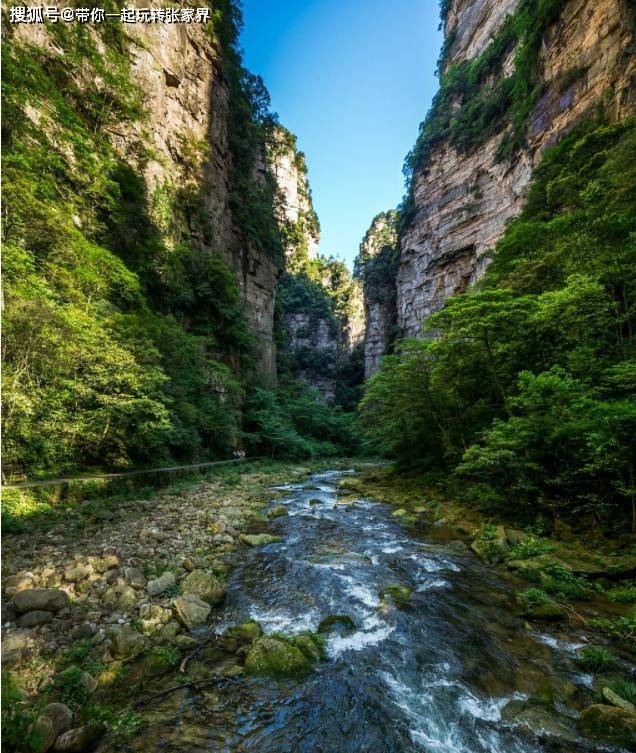 国内精华旅游景点张家界天门山湘西凤凰古城自由行5天4晚旅游攻略