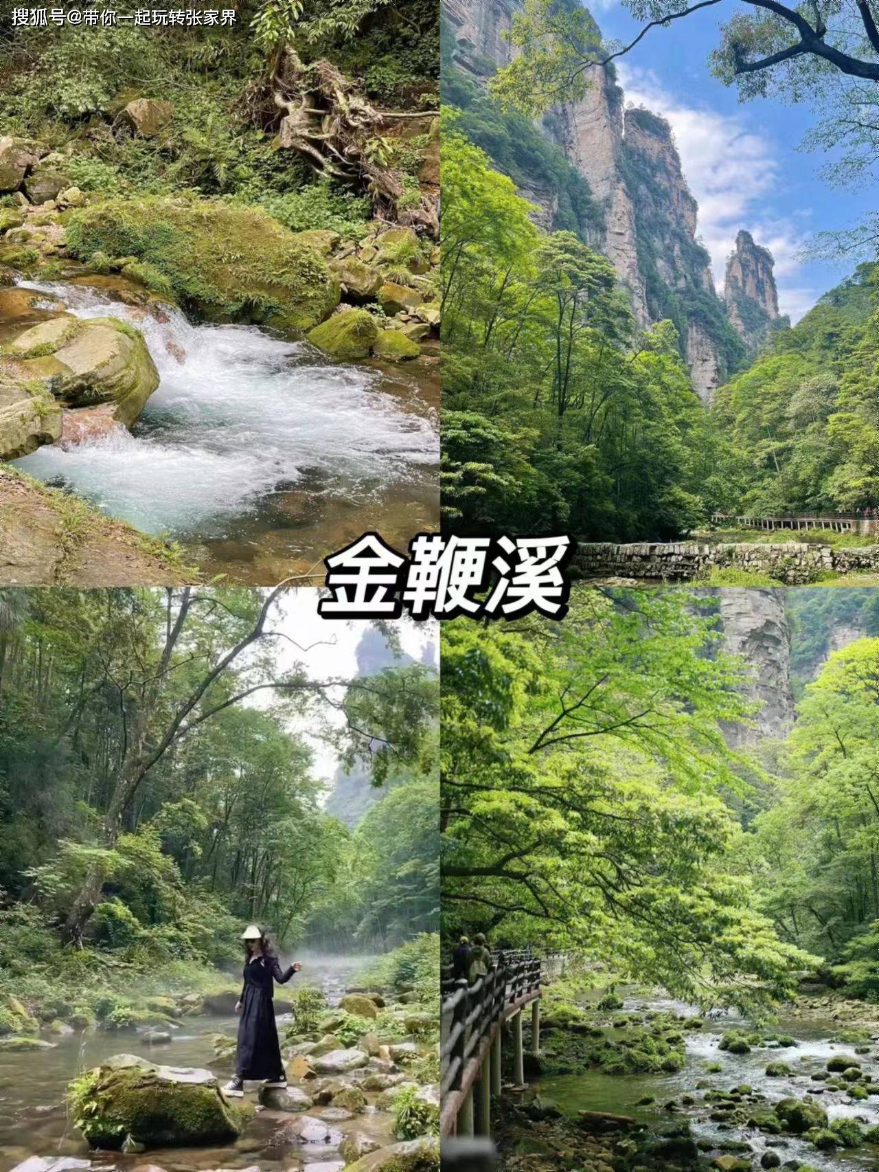 一年一次的家庭旅游季-湖南张家界湘西凤凰古城5日游攻略