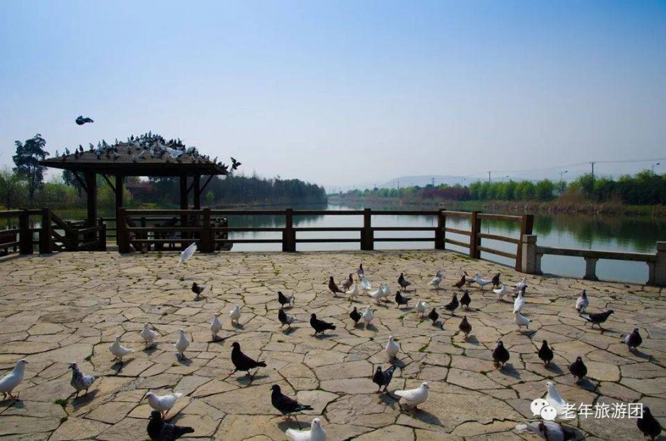 太湖湿地公园丨旅游攻略丨景点介绍