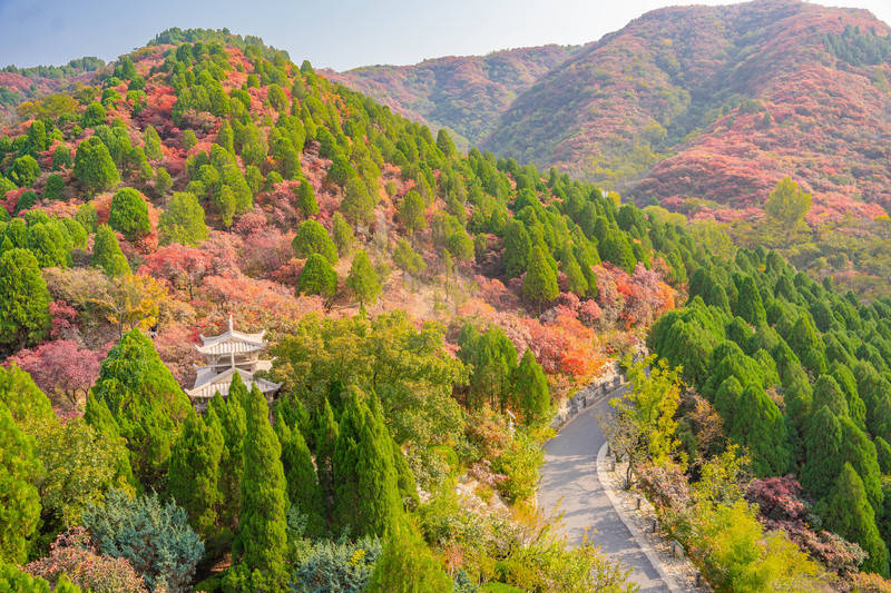 5天4晚山东美食攻略，开启一场味蕾之旅！