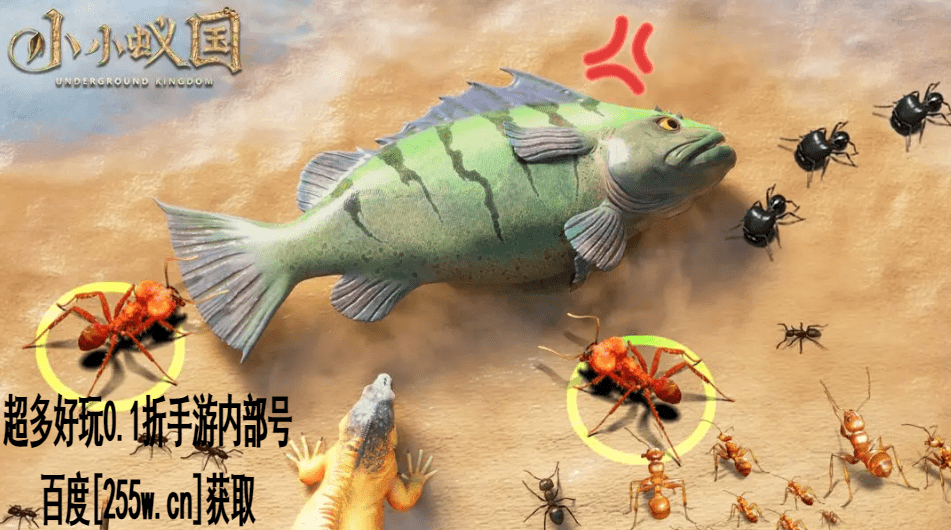 小小蚁国手游内部号福利获取途径