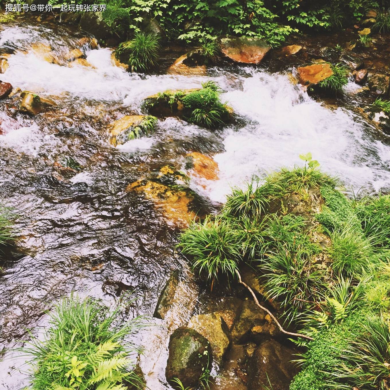 张家界森林公园深度旅游-天门山-凤凰古城自由行（详细攻略）