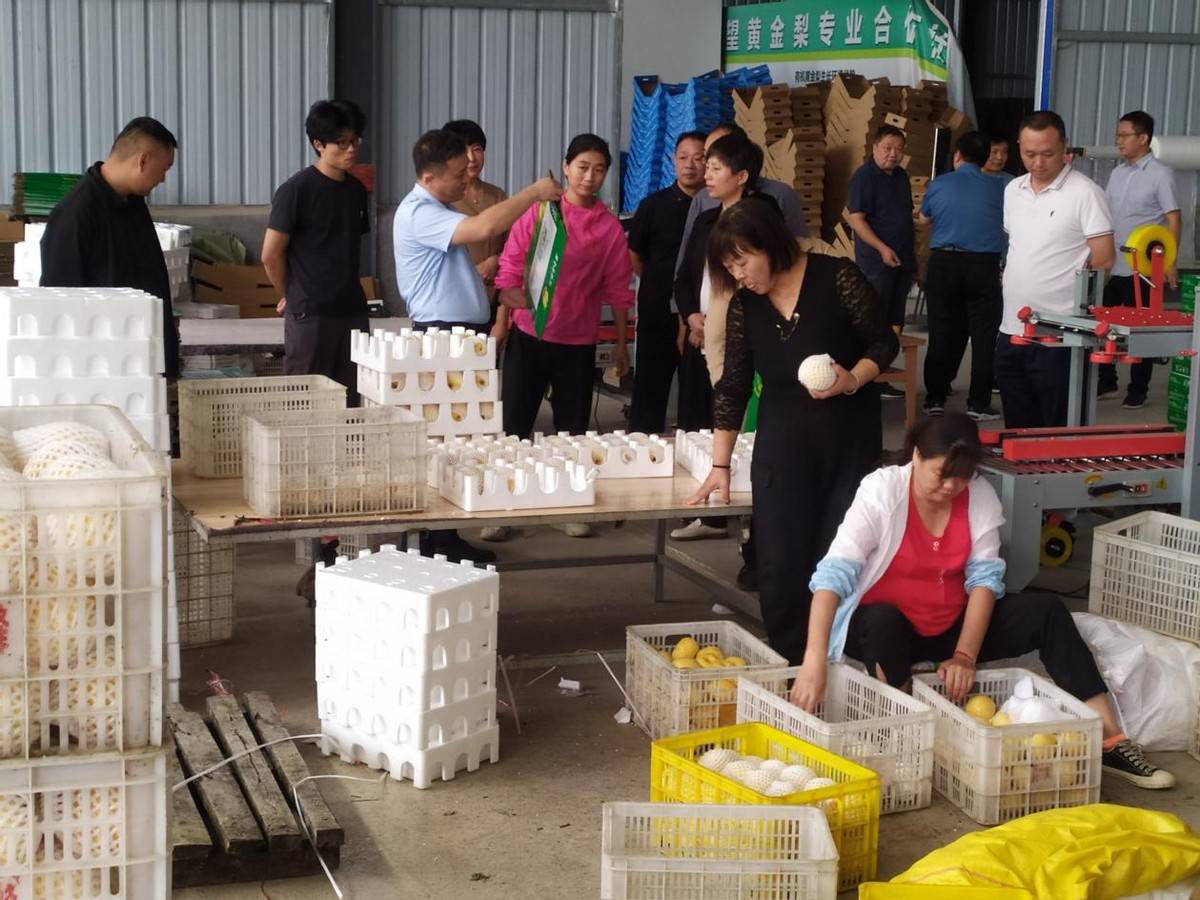 方城县博望镇“四心四全”聚合力 乡村振兴入坦途