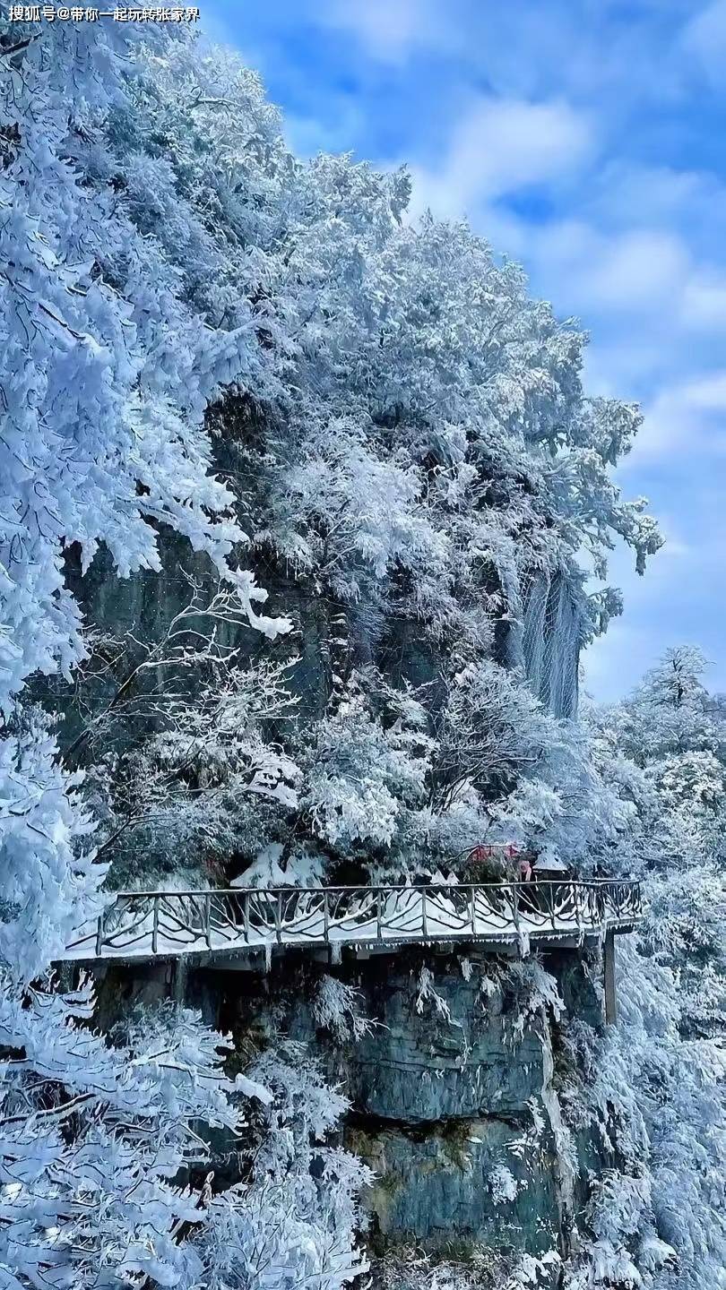 一起去张家界看雪景吧-一份张家界凤凰古城5日游旅游攻略