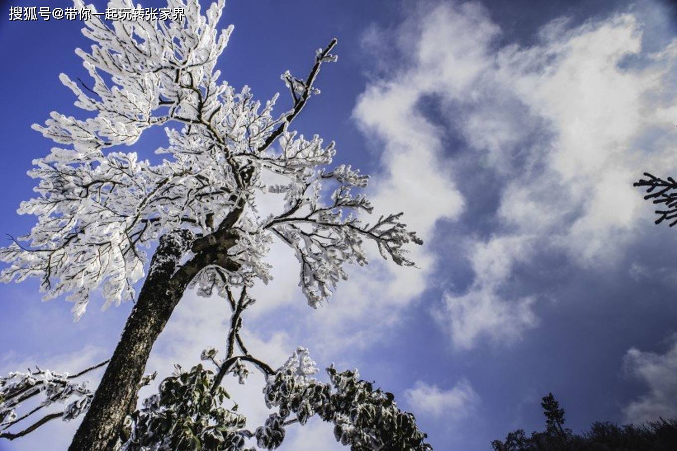 一起去张家界看雪景吧-一份张家界凤凰古城5日游旅游攻略