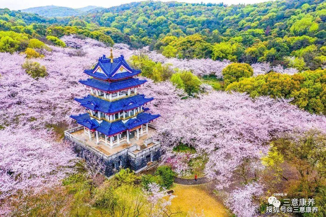 无锡园林式旅居3天2晚339一人包吃住，毗邻太湖度假区