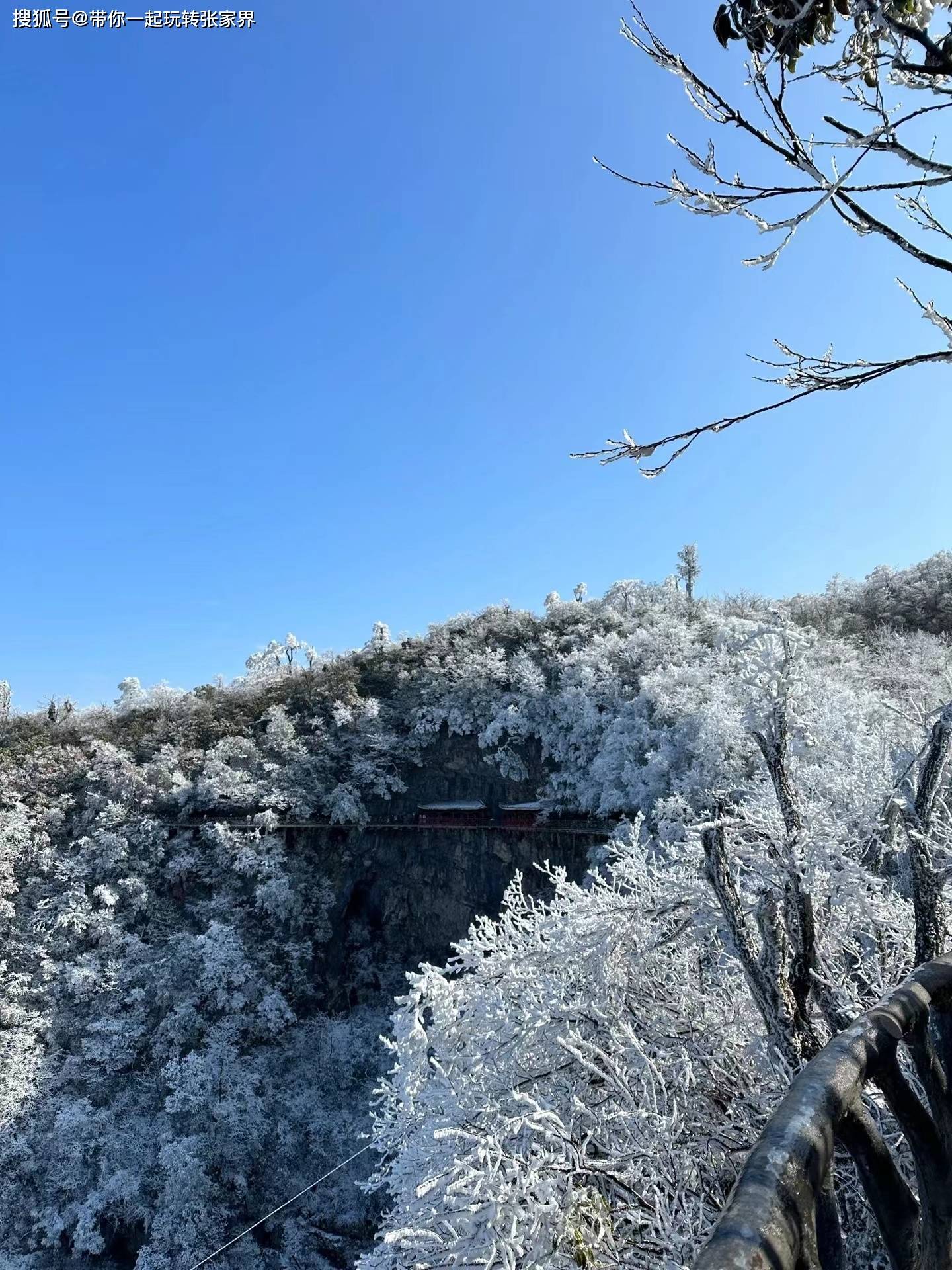 冬季雪景去张家界+凤凰古城玩5天4晚超详细旅游攻略