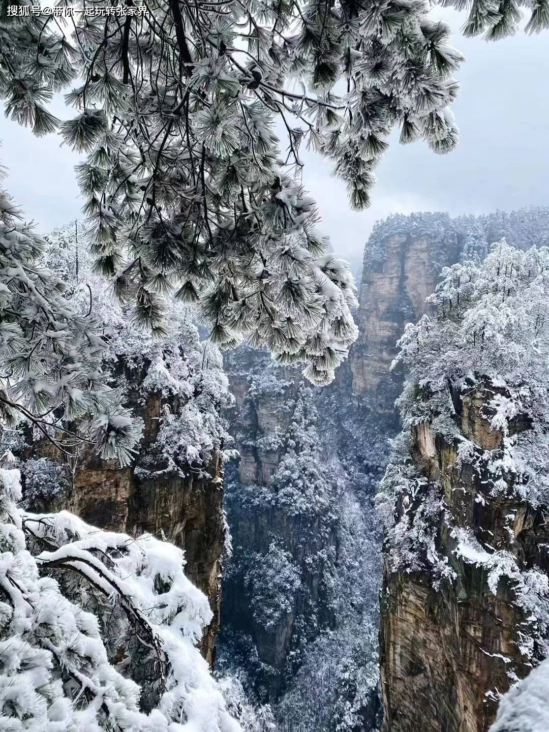 这个冬季看雪景-去张家界凤凰古城游玩5天4晚自由行攻略