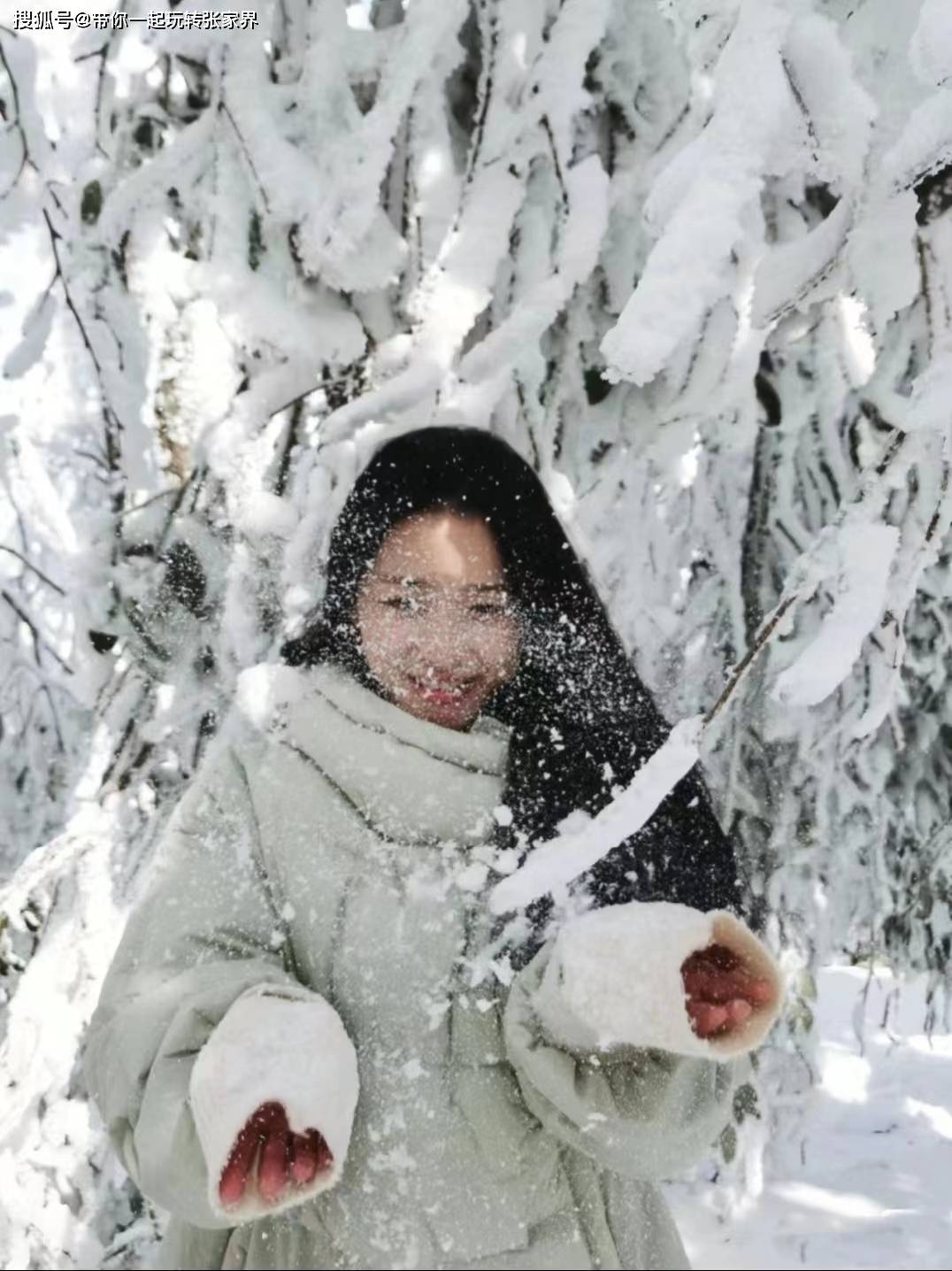 这个冬季看雪景-去张家界凤凰古城游玩5天4晚自由行攻略